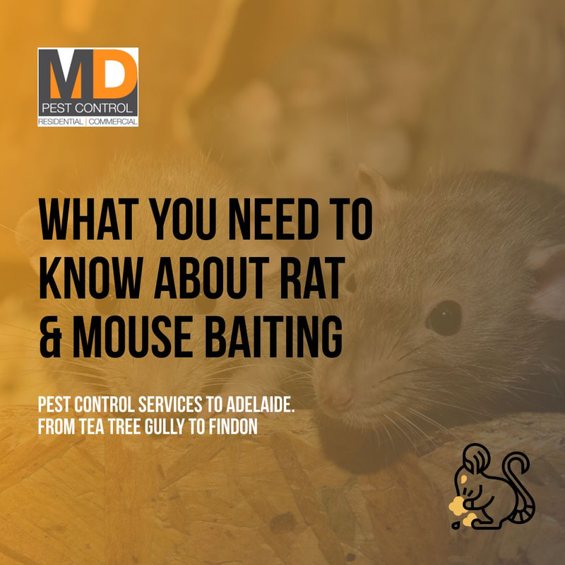https://www.mdpestcontrol.com.au/uploads/5/4/0/8/54088887/rat-mice-baiting-adelaide-md-pest-control_orig.jpg